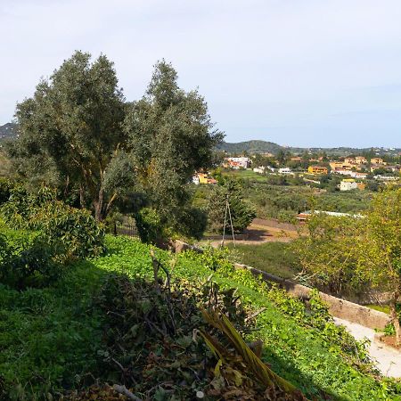 Live Finca El Gamonal Bajo Con Piscina Y Jardin En La Naturaleza Santa Brígida Exterior foto