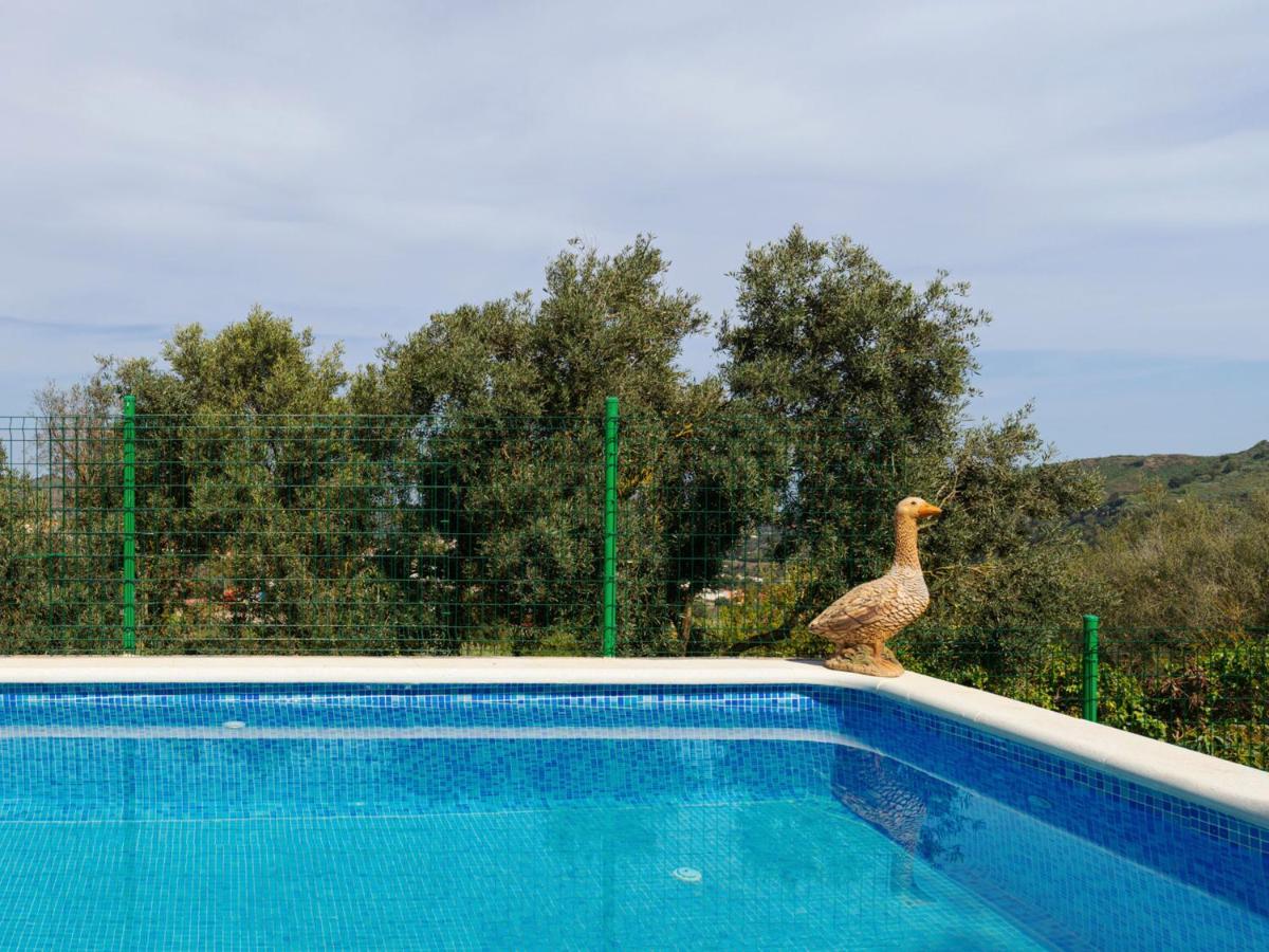 Live Finca El Gamonal Bajo Con Piscina Y Jardin En La Naturaleza Santa Brígida Exterior foto